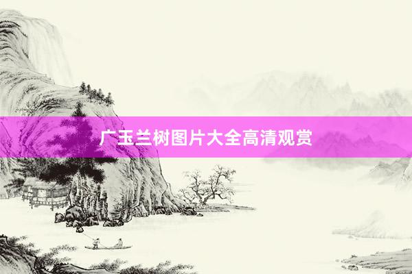 广玉兰树图片大全高清观赏