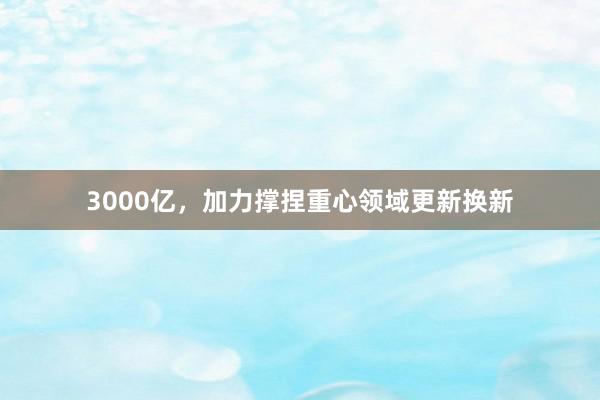 3000亿，加力撑捏重心领域更新换新