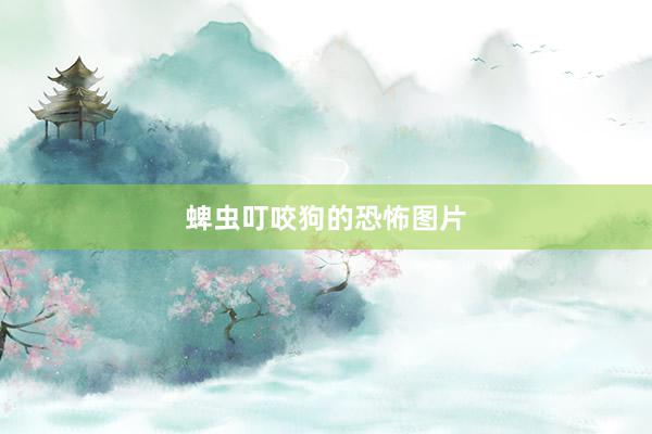 蜱虫叮咬狗的恐怖图片