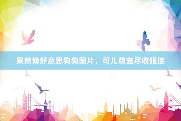 果然博好意思狗狗图片，可儿萌宠尽收眼底