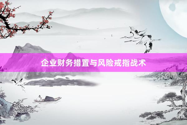 企业财务措置与风险戒指战术